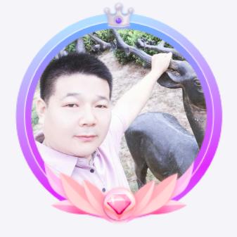 石头⚖️