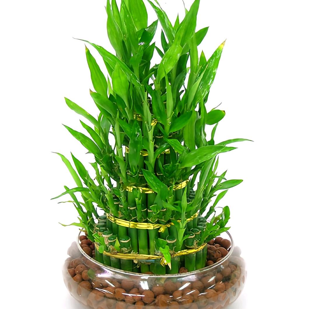 馋嘴小🐱🐱🐱