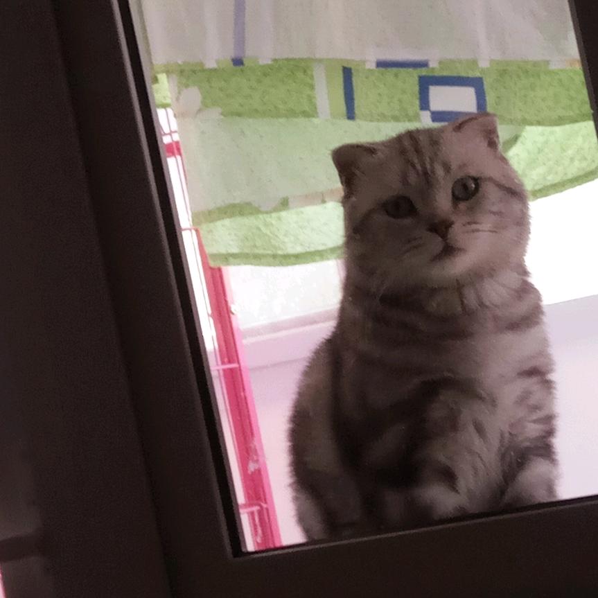 走马观花看人间