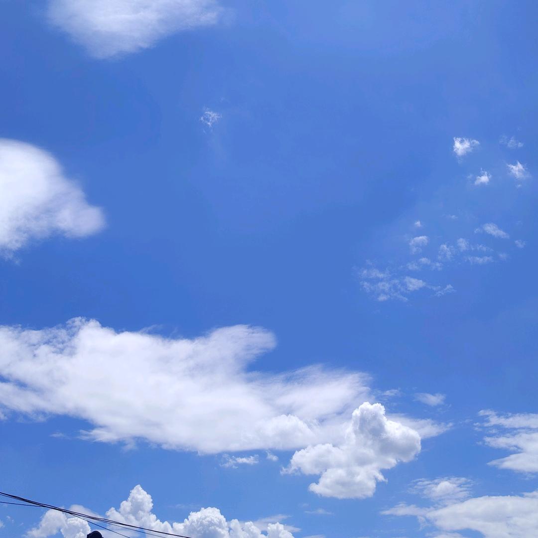 5大云豆7独爱鹤一丁