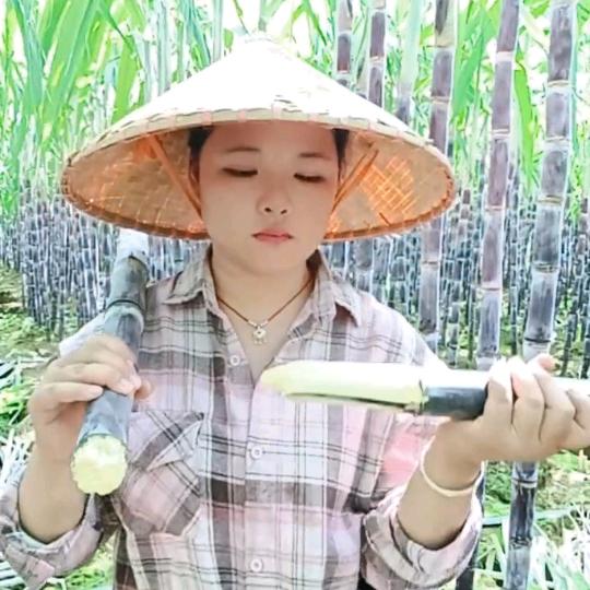 甘蔗小妹（橱窗好物多）