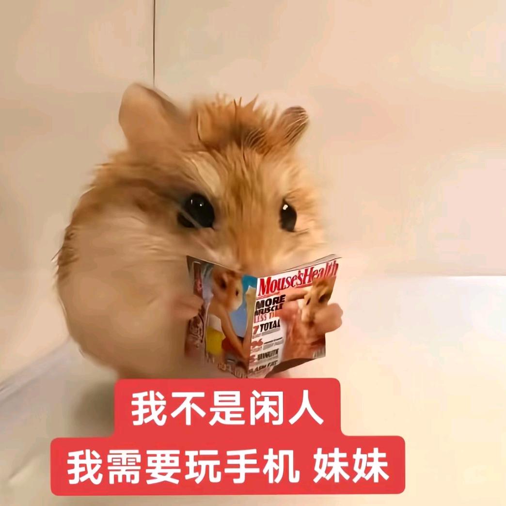 紫菜饭喵喵喵
