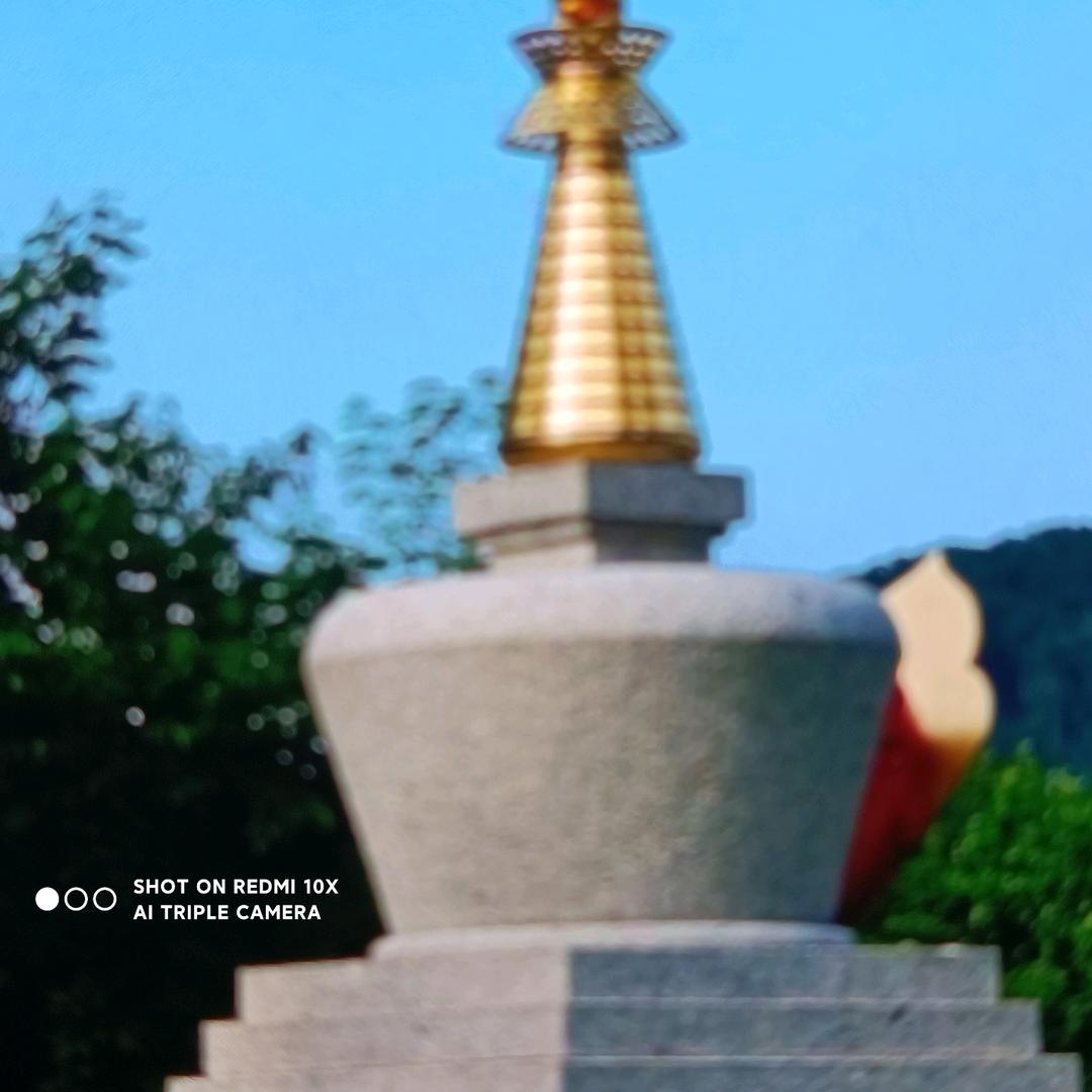 💕🌹观 自 在🌹💕