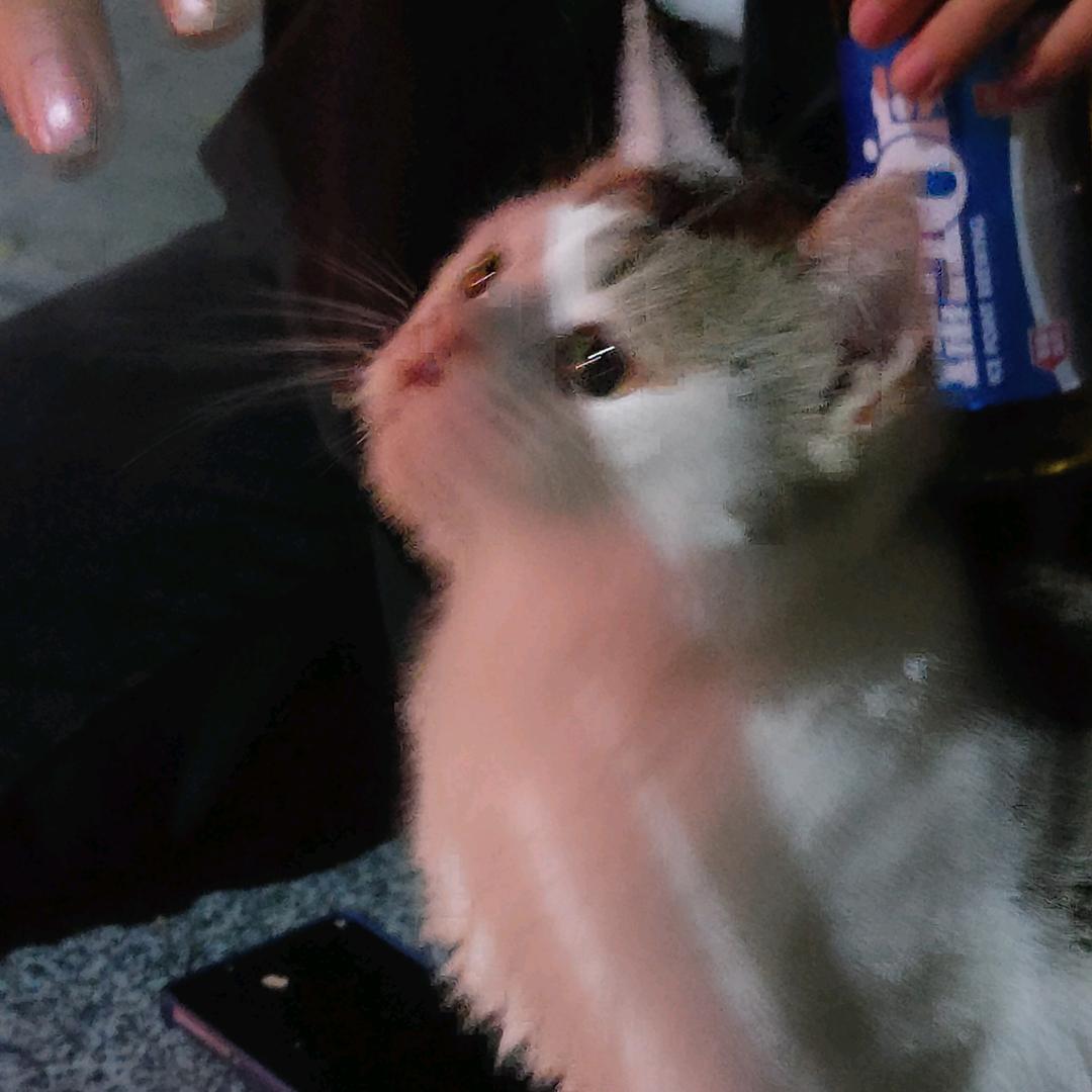 吓死我了