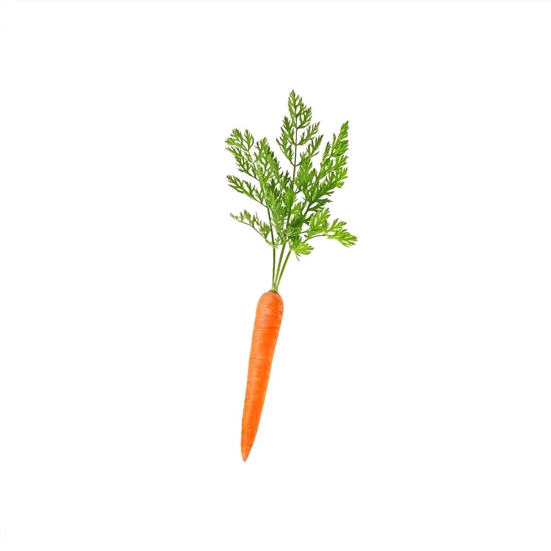 脆爽胡萝卜🥕