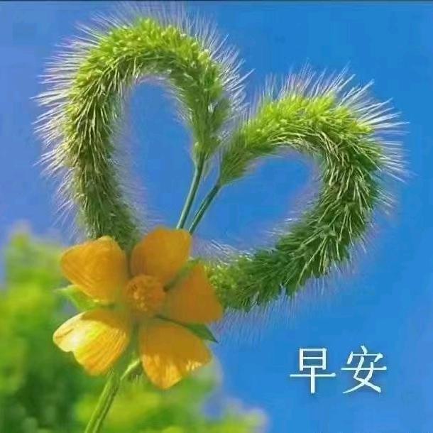 静心听歌