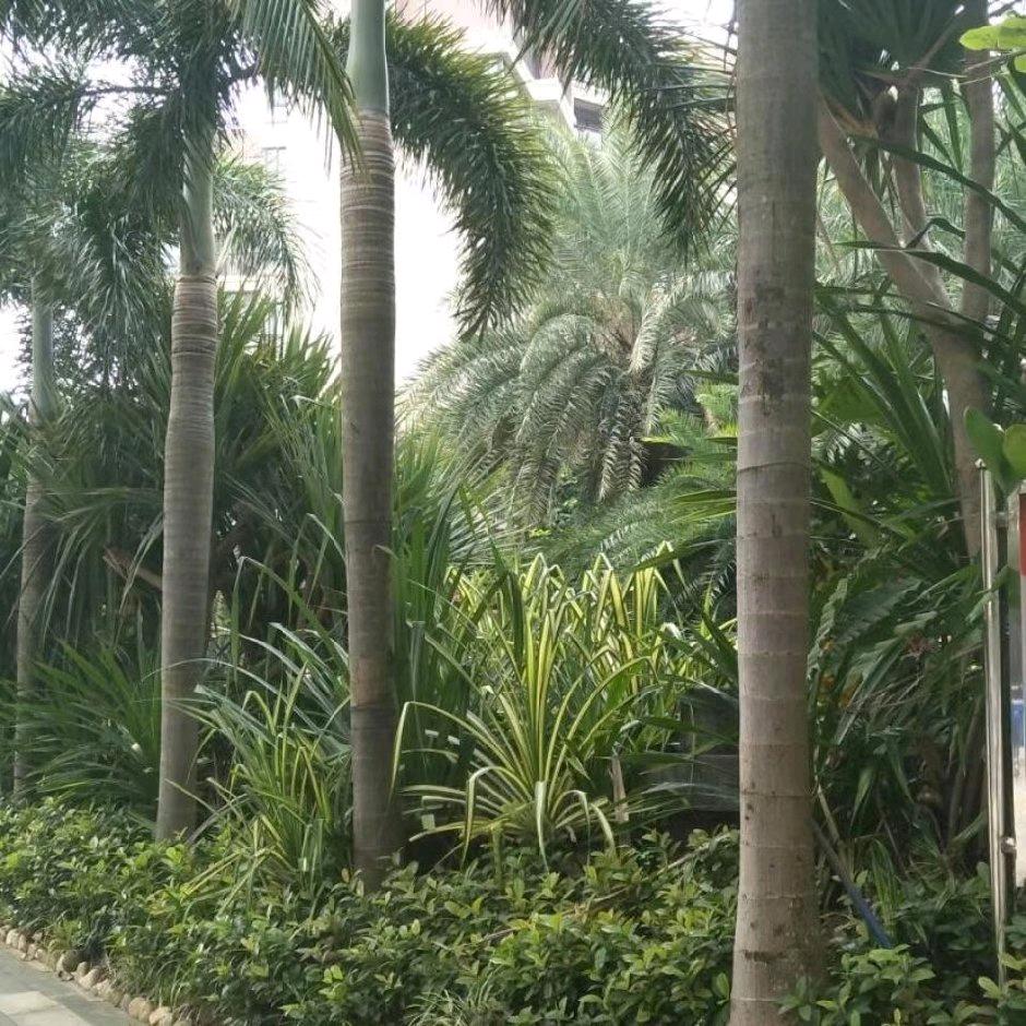 随缘而安.