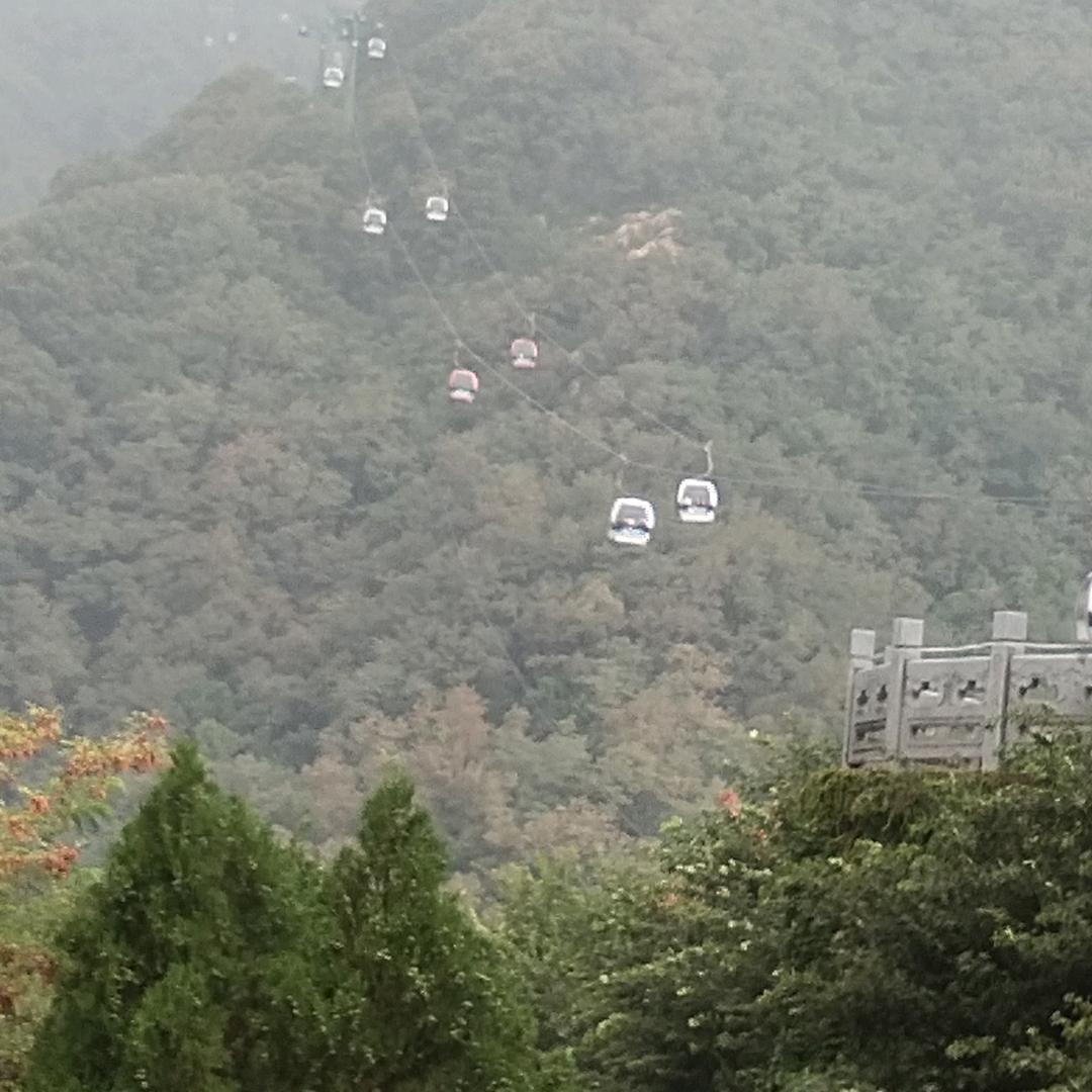 用户4450338132308