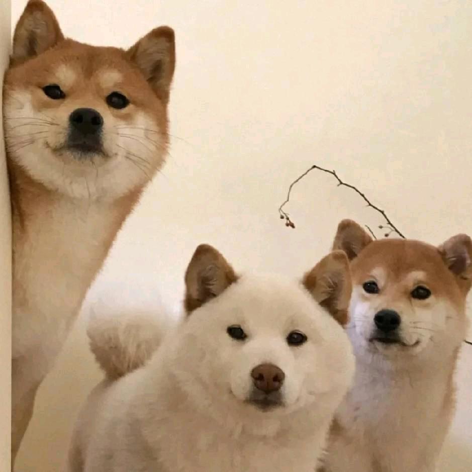 亦可君