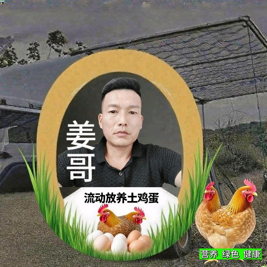 姜哥在上海（流动放养土鸡）