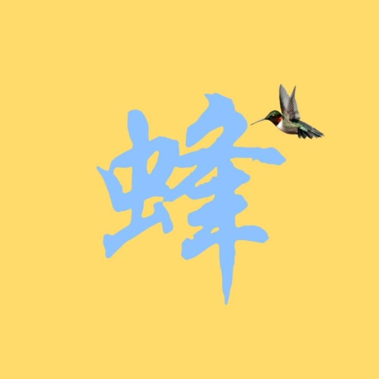 蜂鸟影视