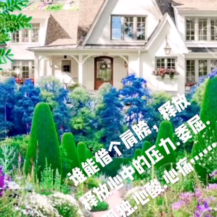 凤【拒绝私聊】