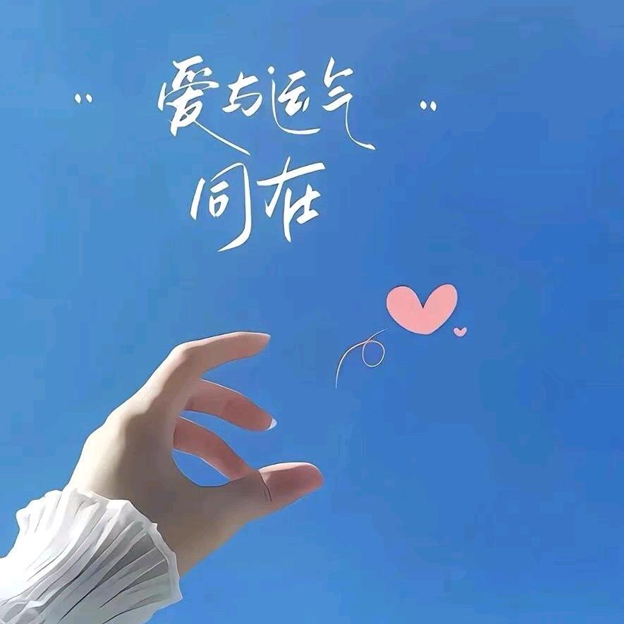 愿得一人心