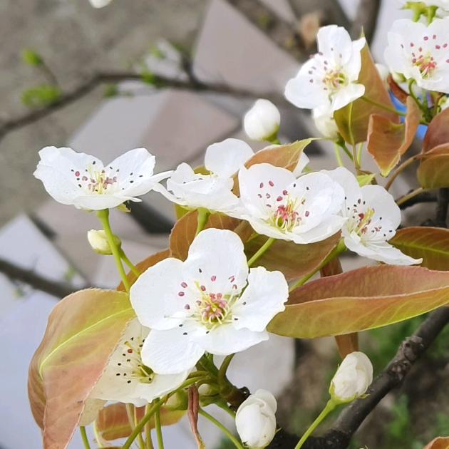 八零后海鲜店🍒🍒