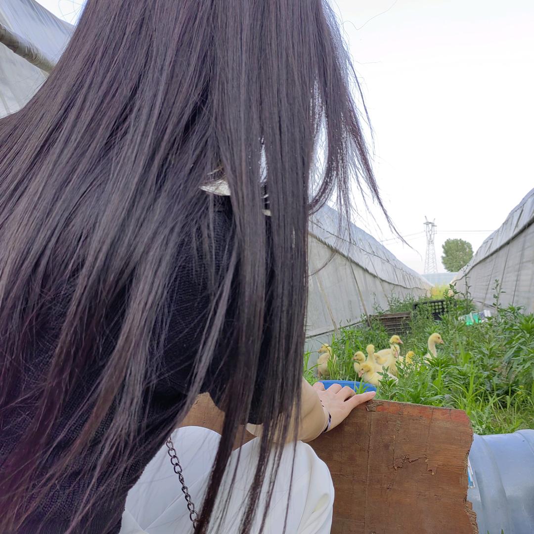 尉氏县汇嘉房产卫萍