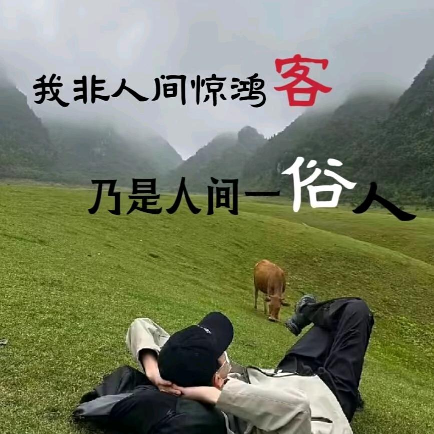 败给了ꦿ💓动᭄࿚