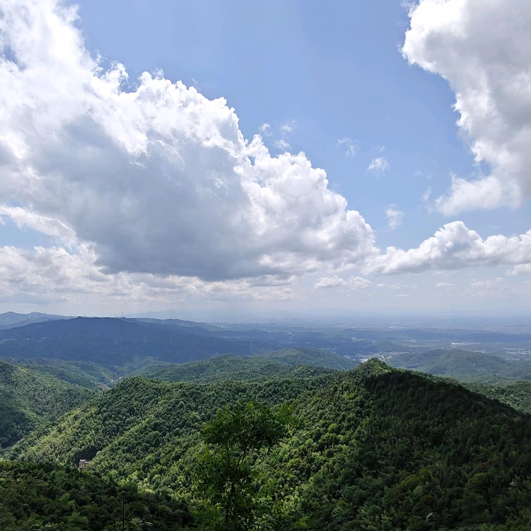 小叶同学