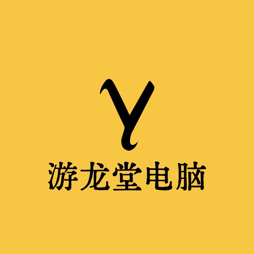 游龙堂电脑