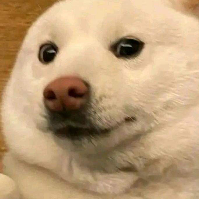 是这名儿