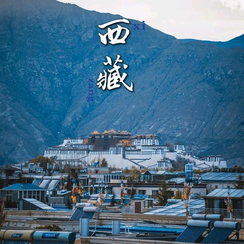 西藏拉萨地毯pvc地胶铺装
