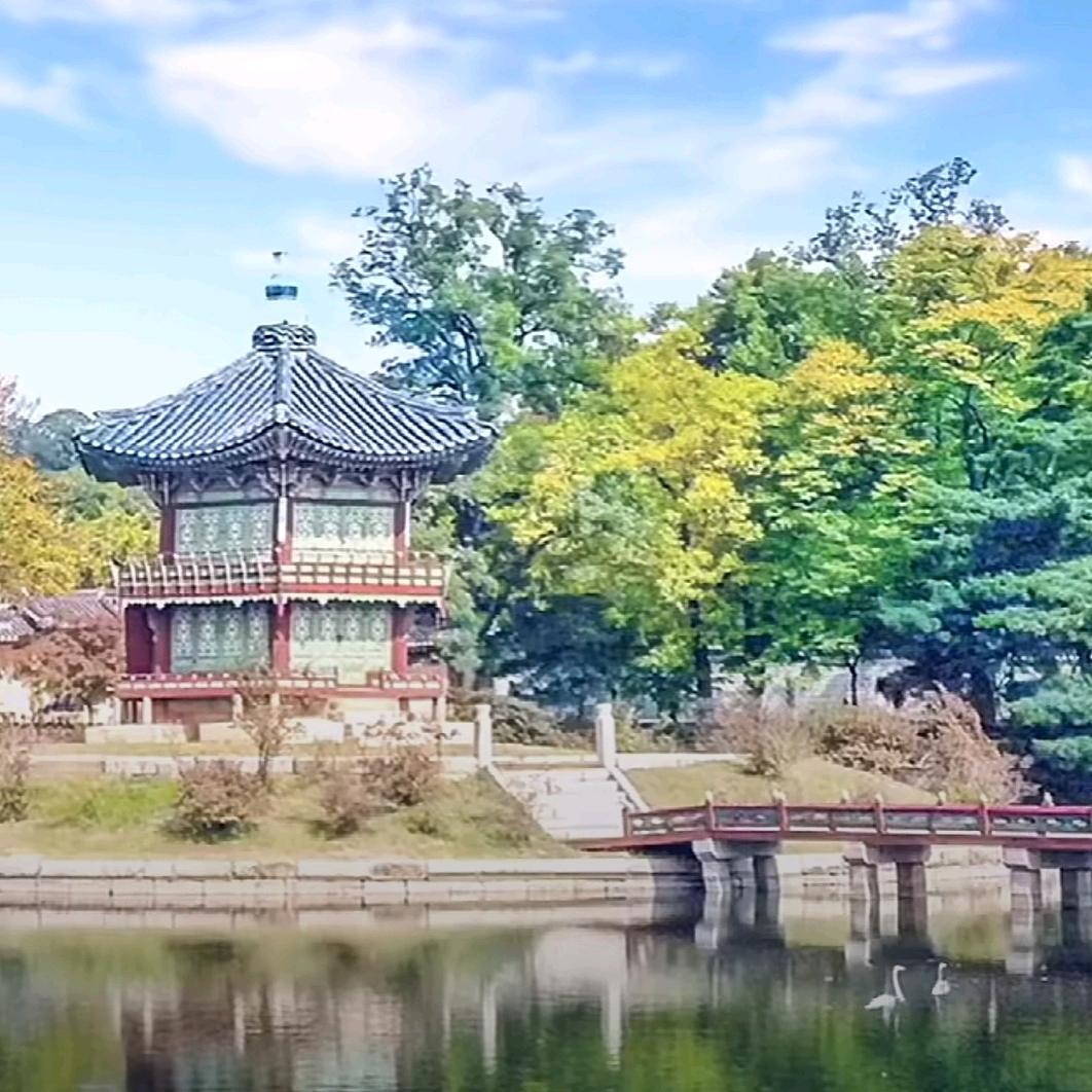 羽翼之声