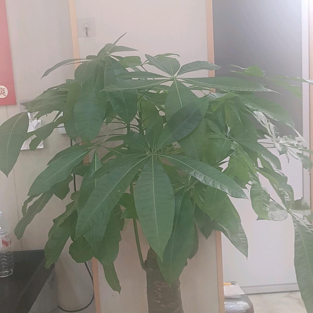 钦州铺面转让