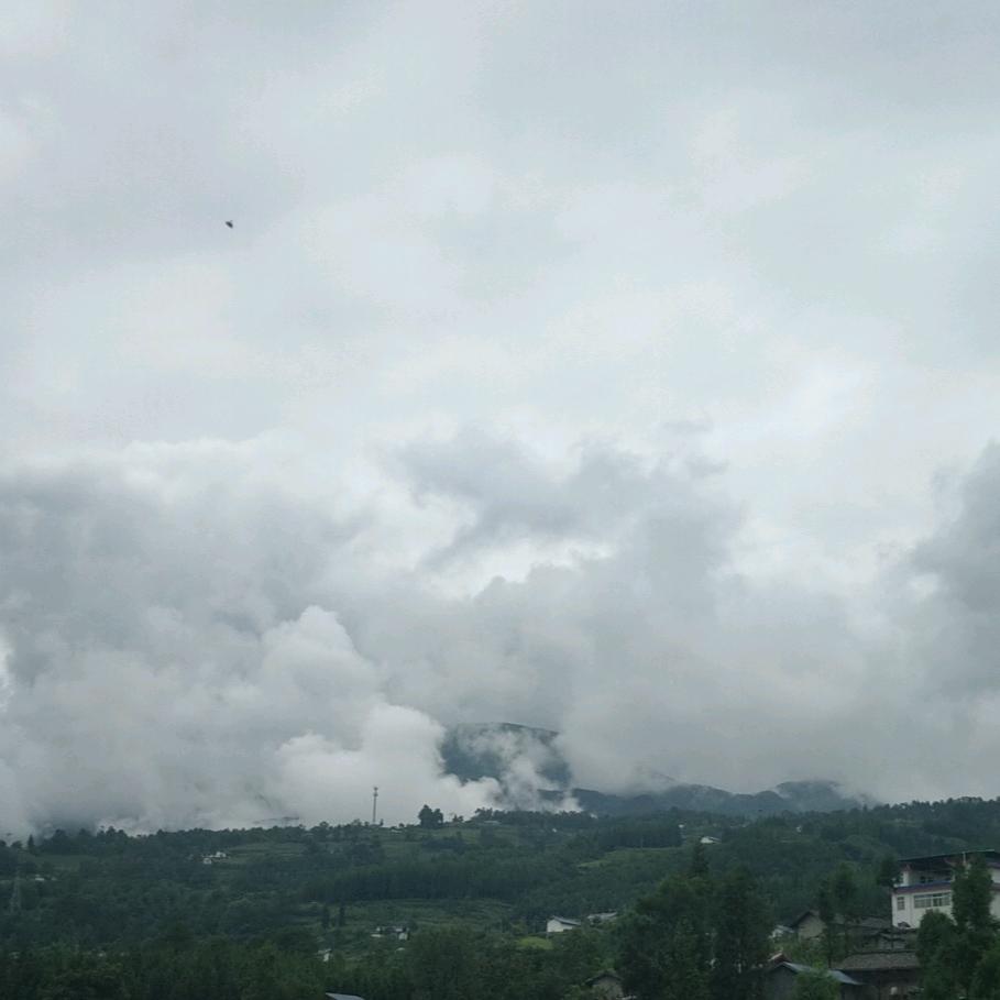明明长得黑