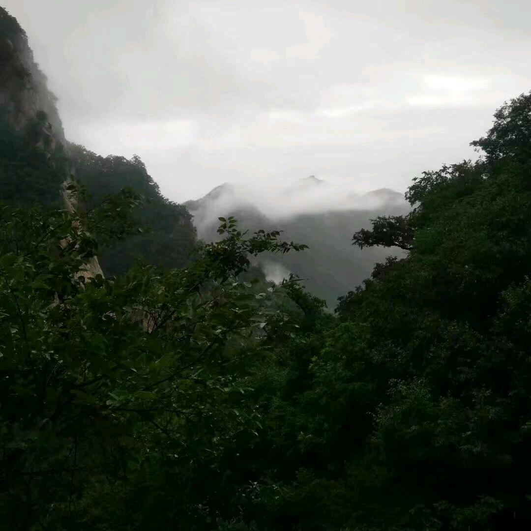 峰哥.
