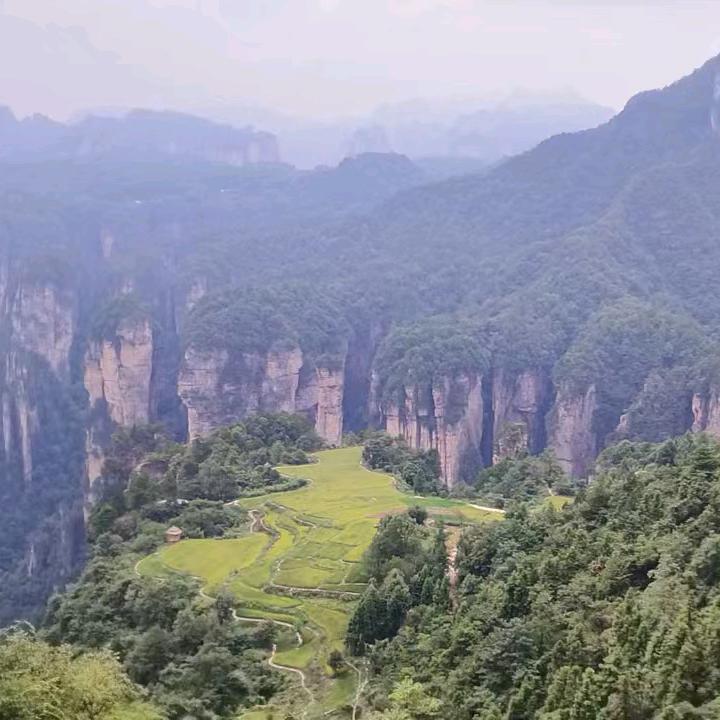 在逃迪士尼