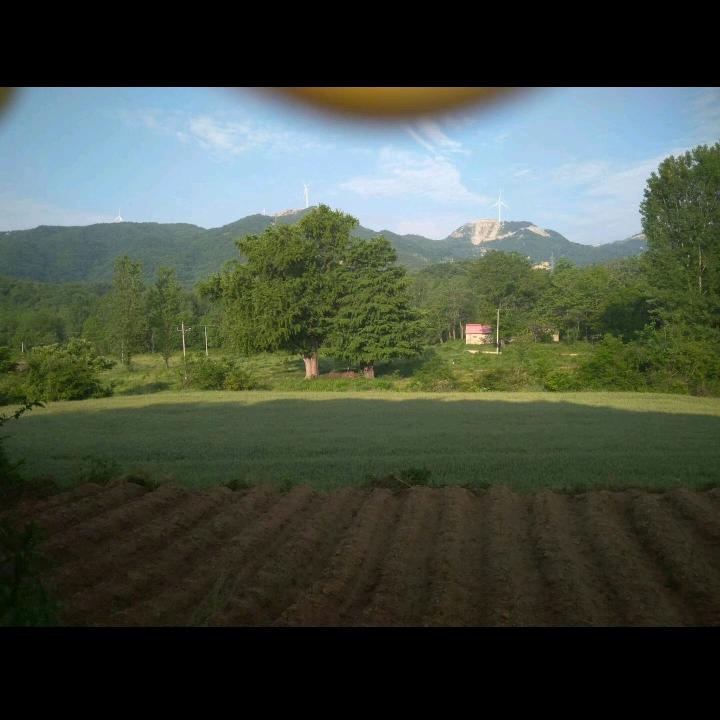 千山万水