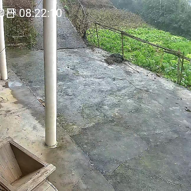 蒯大人的儿子蒯仁虎