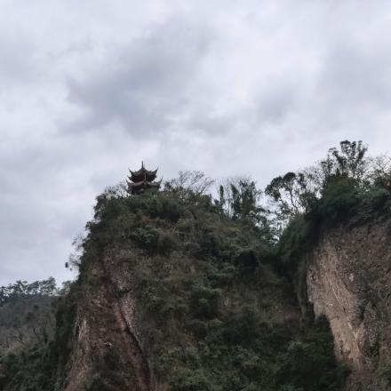 成晶，信用-等于财富