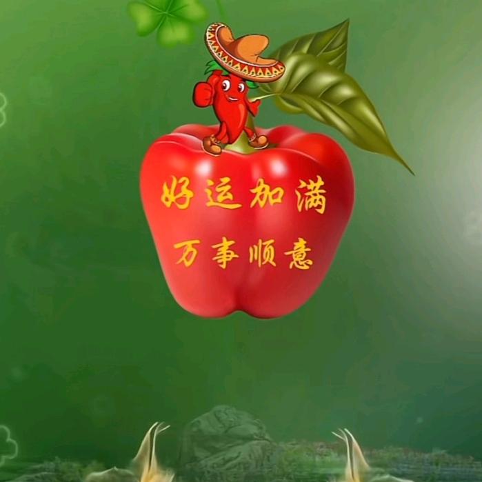 开窍透彻