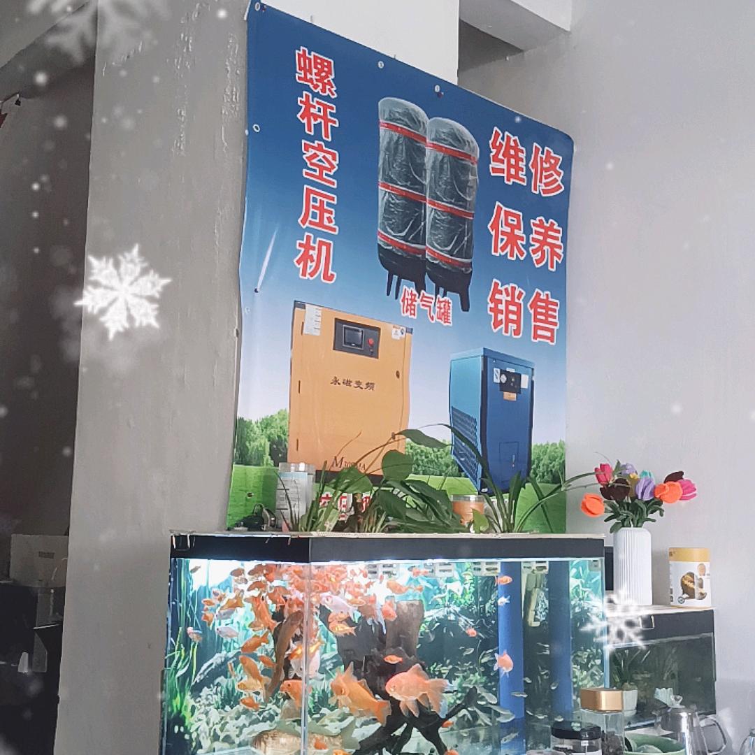 长汀矮哥（螺杆空压机）