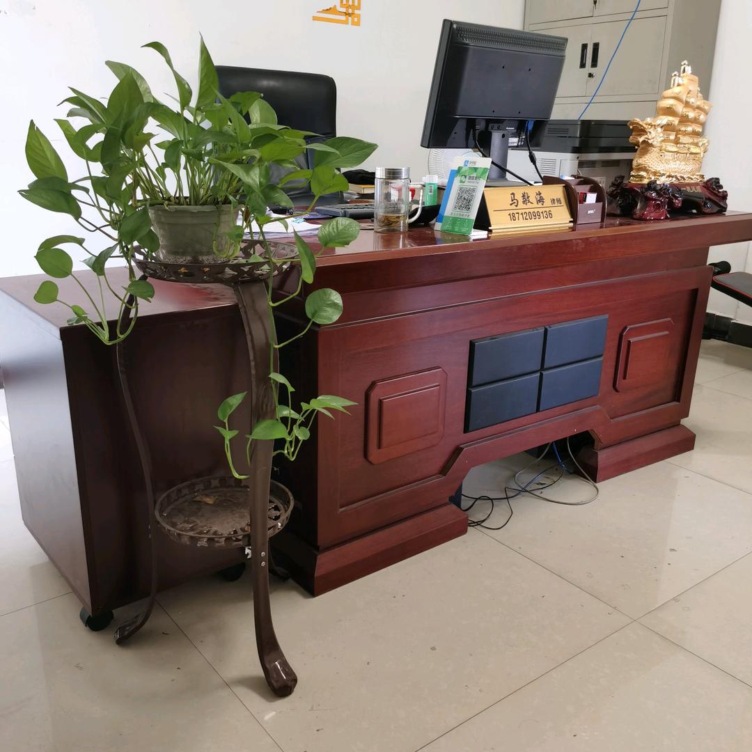 小马