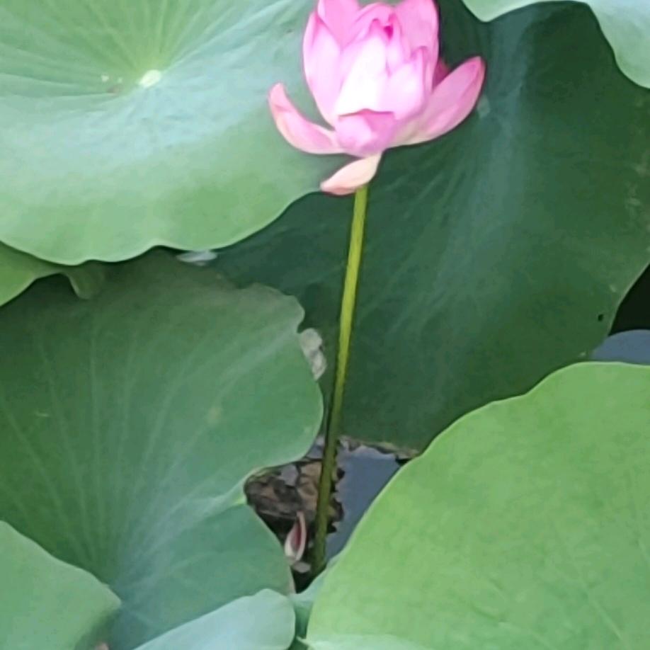 用户一无所有
