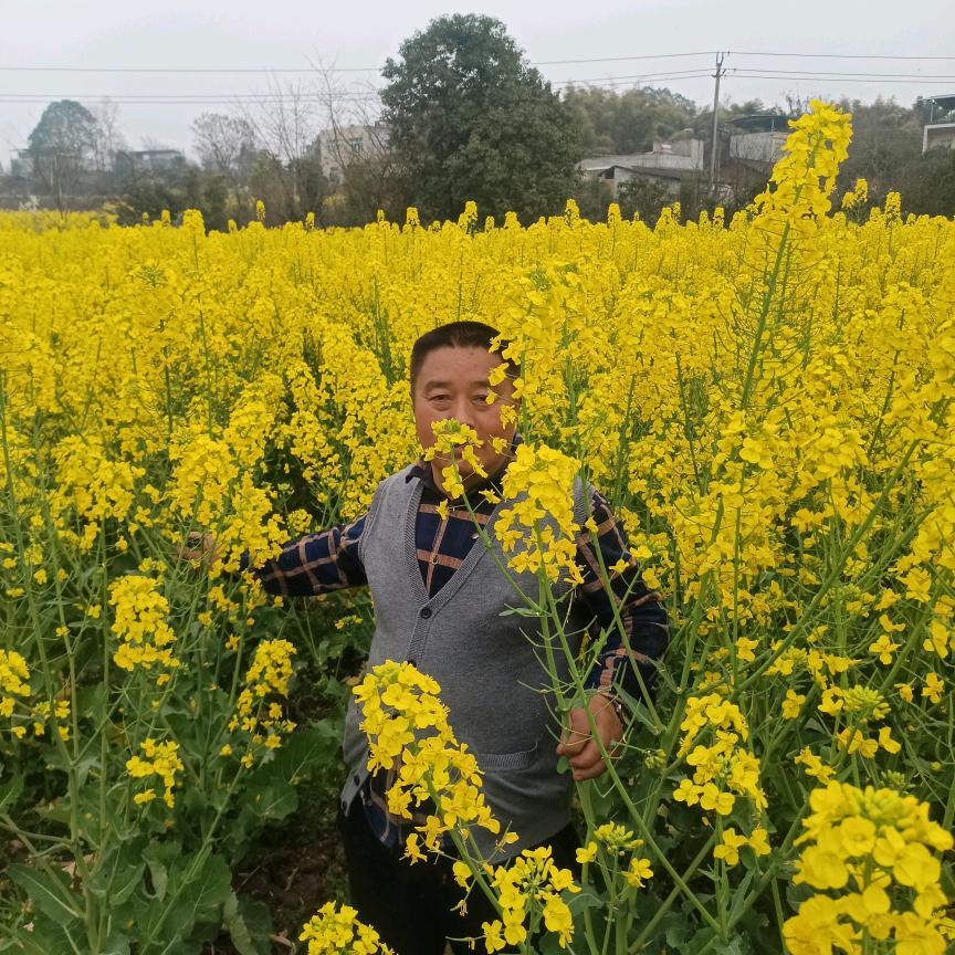 谢哥卤菜，可收徒弟冒菜都可以