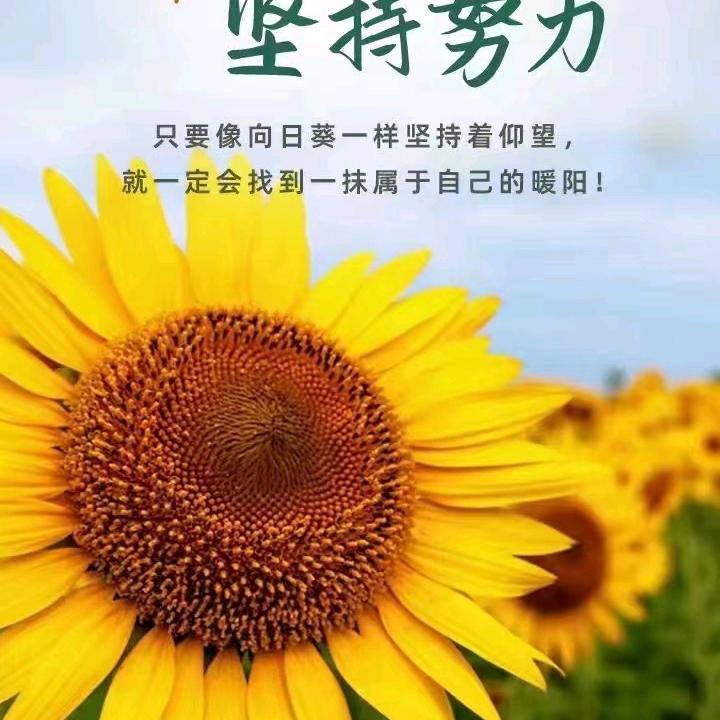 秋芳护肤