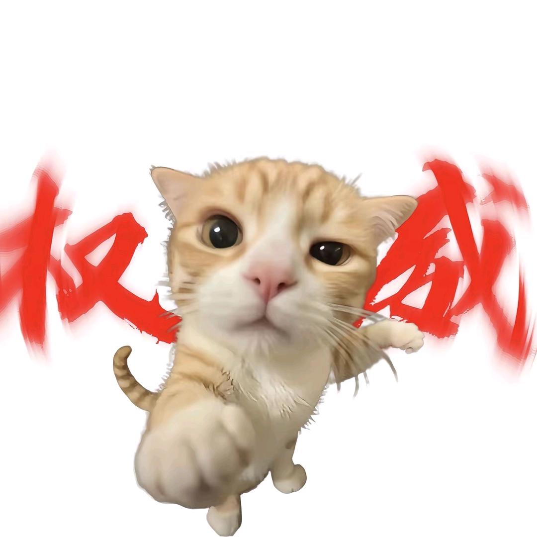 不考本一不改名