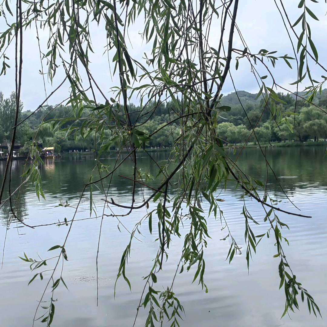 小焕