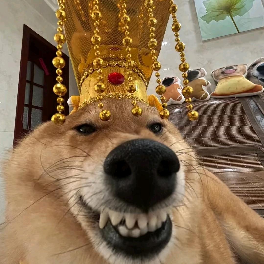 众所洲知