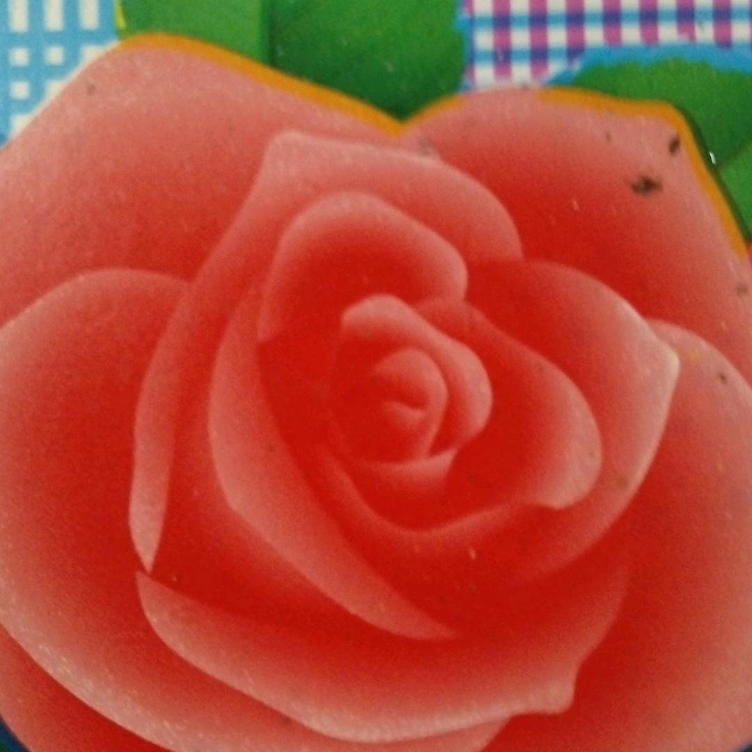 快乐。。。。。