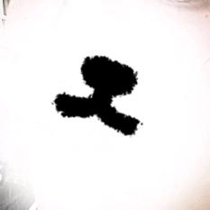 陈少™