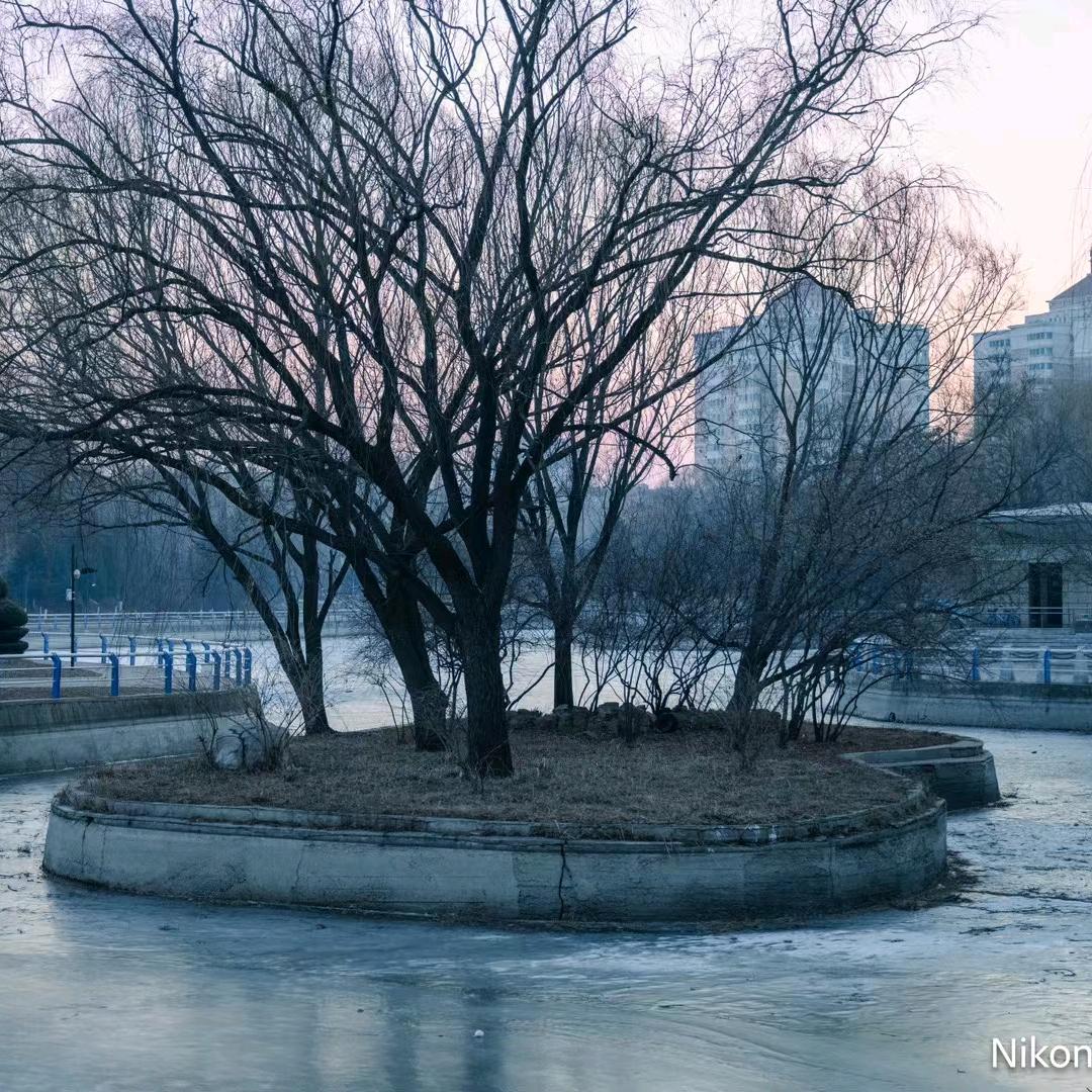 疆图致远