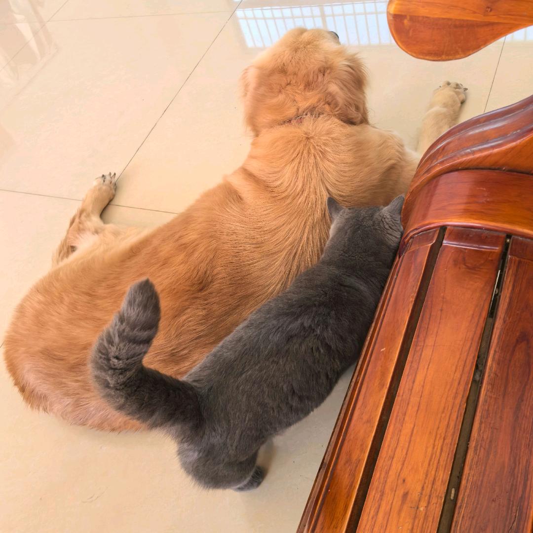 💞 ༊ღ᭄胖阿姨꧔ꦿ᭄💞