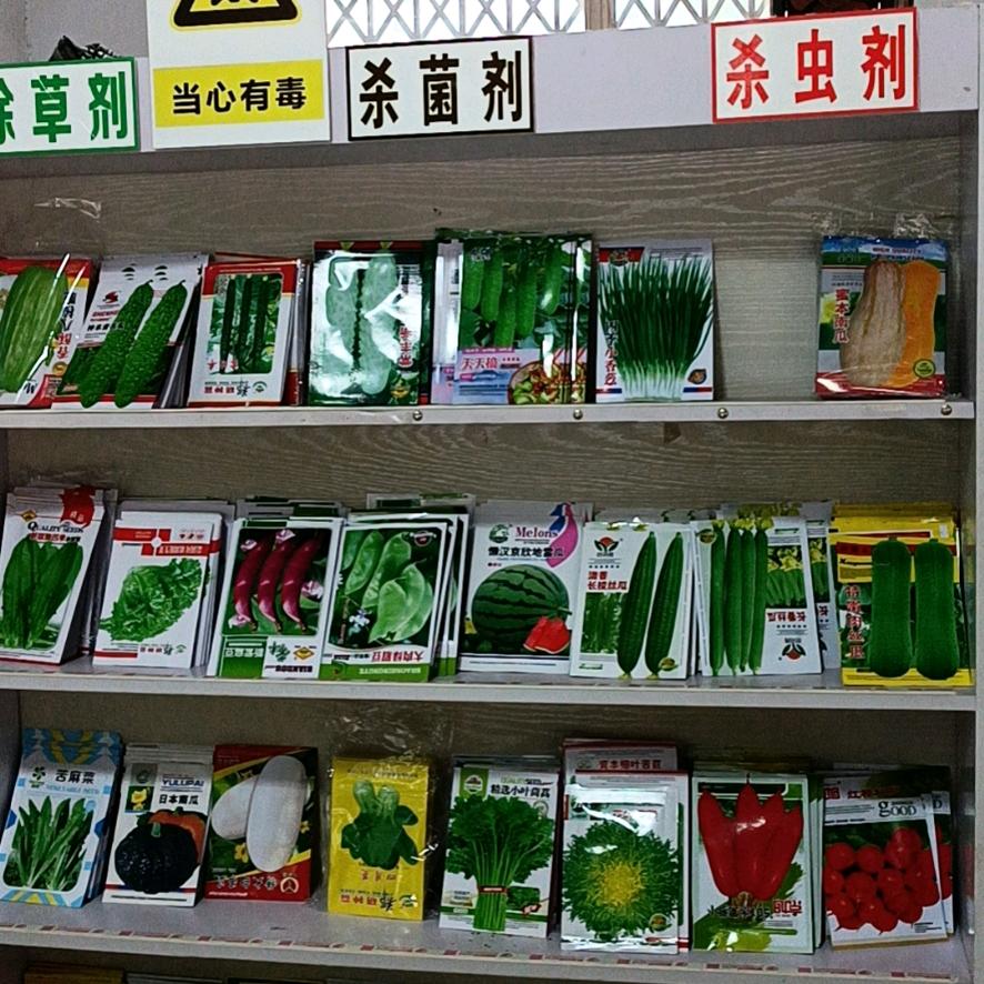 华农689宁津