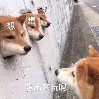 天天峡谷王者辅助