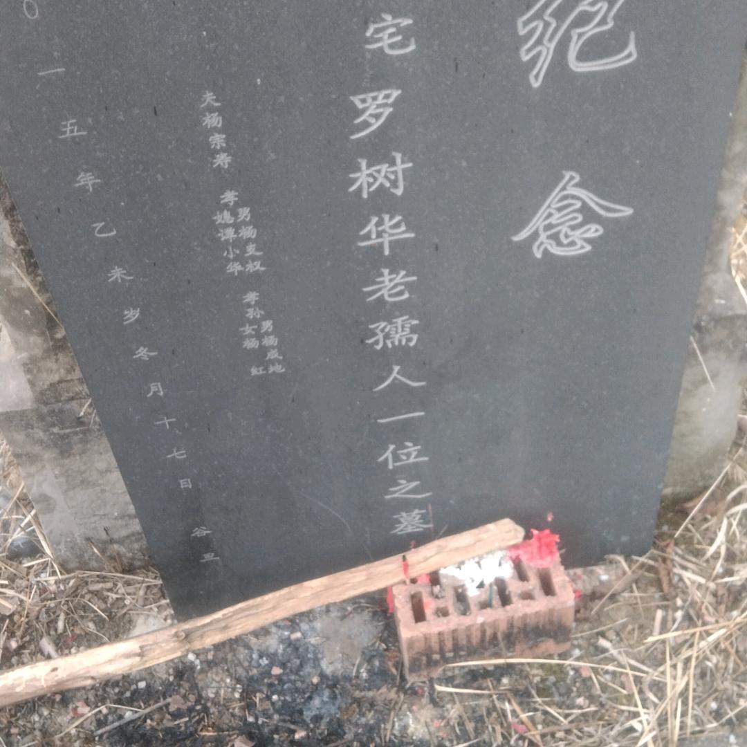 你好你好