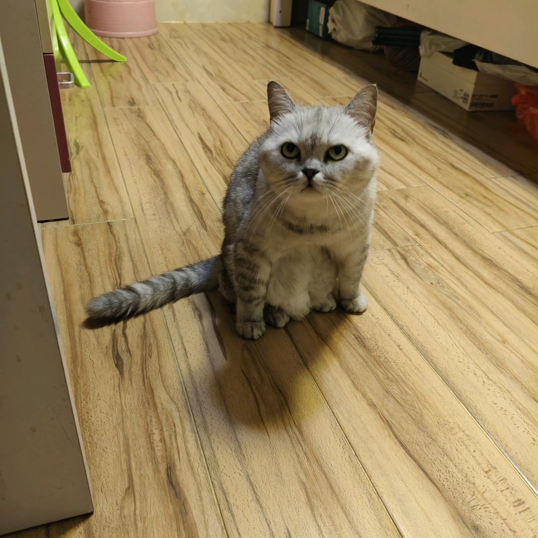 小铭同学