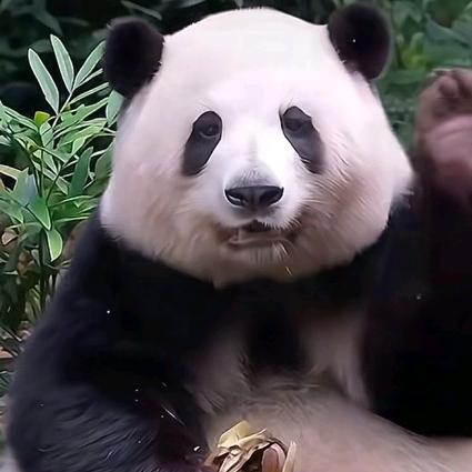 月闭